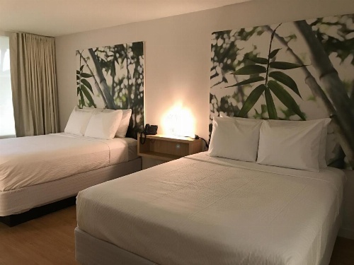 GreenPoint Hotel Kissimmee image 6